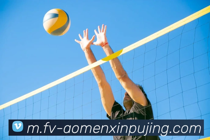 App Interface Preview