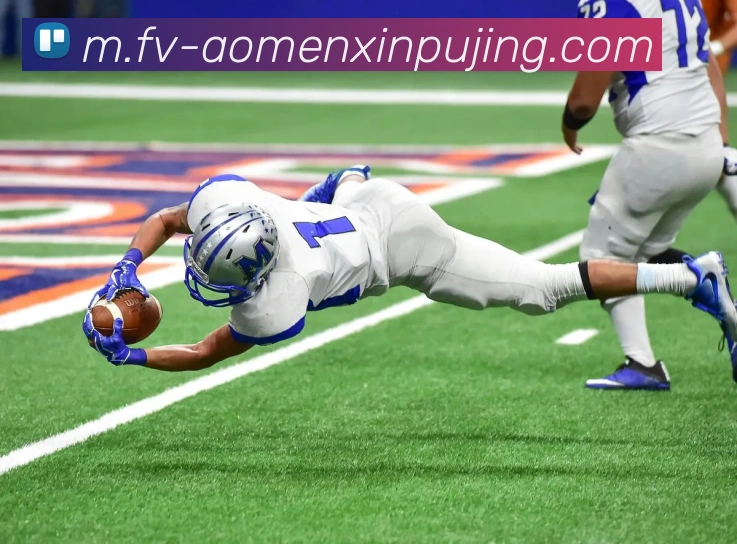 新葡京娱乐APP 封面图